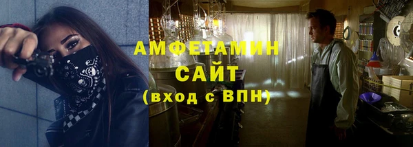 гидра Богородицк