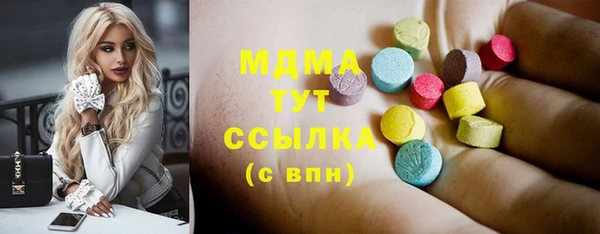 гидра Богородицк