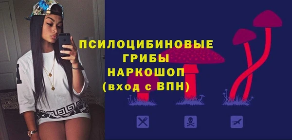 PSILOCYBIN Богданович