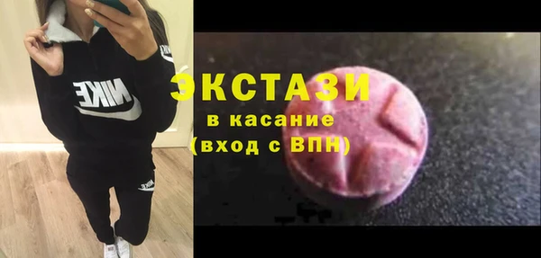 гидра Богородицк