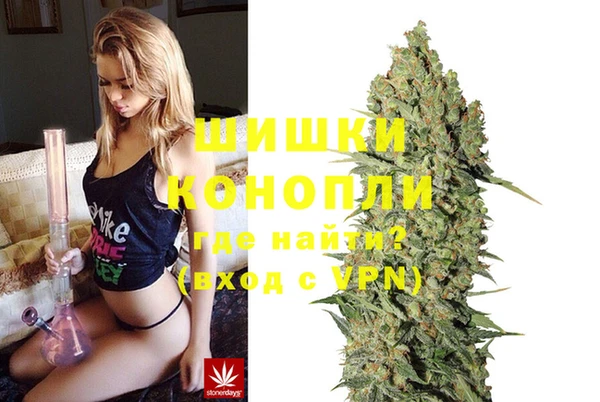 гидра Богородицк