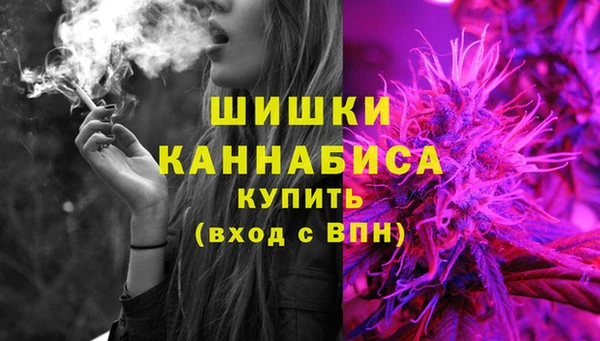 PSILOCYBIN Богданович