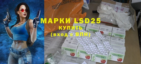 PSILOCYBIN Богданович
