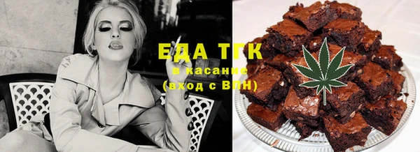 гидра Богородицк