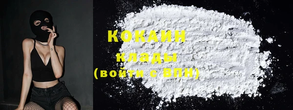 PSILOCYBIN Богданович