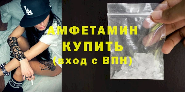 гидра Богородицк