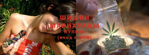 PSILOCYBIN Богданович