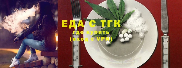 гидра Богородицк