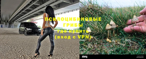 гидра Богородицк