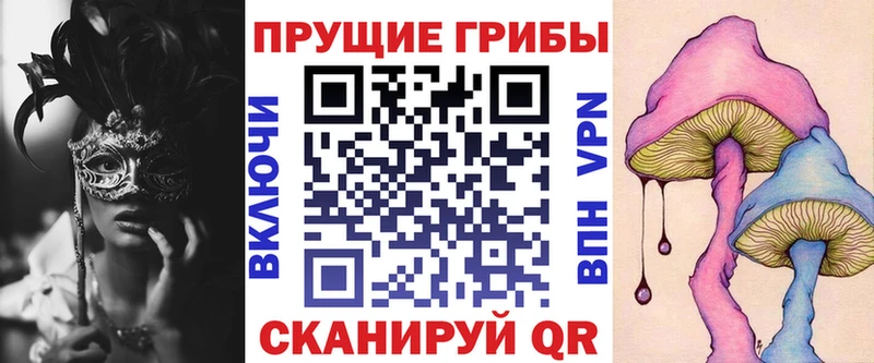 blacksprut онион  Полтавская  Галлюциногенные грибы Cubensis 
